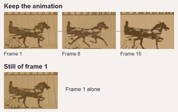 Keep the animation retains the sequence: source frames 1, 8 and 15 show changing leg positions. Still of frame 1 retains frame 1 alone.