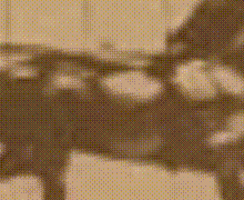 Matching horse detail from the measured source GIF.