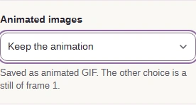 Animated images set to Keep the animation.