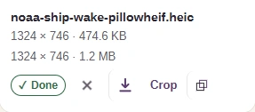 The PNG output row has a Copy image icon and a download-arrow icon.