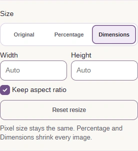 Dimensions exposes Width, Height and Keep aspect ratio.