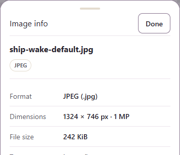 Image Viewer identifies the saved file as JPEG and shows its dimensions and size.