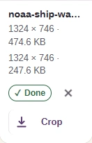The completed photo shows its output size and Download.