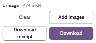 The Download button in the command bar after the conversion.