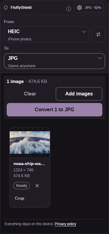 Settings closed with Convert 1 to JPG ready above the selected photo.
