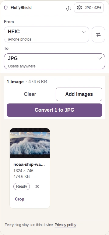 Settings closed with Convert 1 to JPG ready above the selected photo.