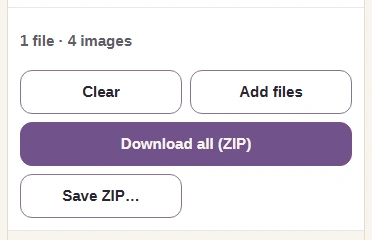 Download all ZIP button after extracting the ICO.