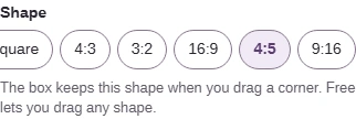 Choose the shape your destination asks for; here, 4:5.