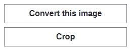 The Convert this image and Crop buttons under the Image info panel.