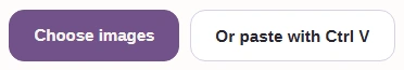 The Image Viewer's Choose images button, with the option to paste with Ctrl V below it.