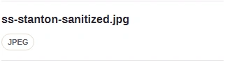 The Image info sheet names the file ss-stanton-sanitized.jpg, with a JPEG badge.
