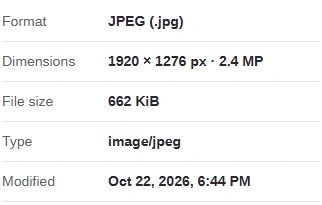 Image info lists Format JPEG, Dimensions 1920 by 1276 pixels, File size, Type image/jpeg and the Modified date.