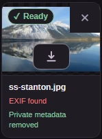 The finished ss-stanton.jpg tile reads Private metadata removed and shows a Download button.