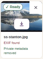 The finished ss-stanton.jpg tile reads Private metadata removed and shows a Download button.