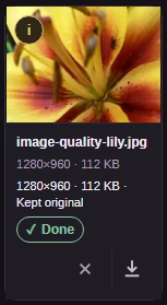 Kept original means the converted copy was not smaller. Open the i button to read its warning.