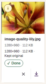 Kept original means the converted copy was not smaller. Open the i button to read its warning.