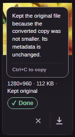 The open warning explains that the original file and its metadata were kept.