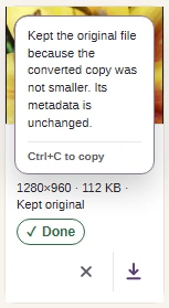 The open warning explains that the original file and its metadata were kept.