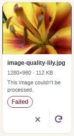 A size cap can be too small even at the lowest quality. This run at Original size with a 1 KB cap ends in Failed; smaller dimensions can help.