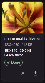 Check each result's dimensions and file size. Download saves that image; keep your original for later edits.