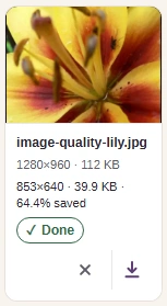 Check each result's dimensions and file size. Download saves that image; keep your original for later edits.