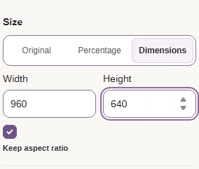 Choose the destination's pixel bounds. Original keeps the dimensions; Percentage scales the whole picture.