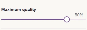 Maximum quality is the highest quality the size search will try. Lower settings trade fine detail for fewer bytes.