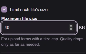 Turn on Limit each file's size and enter your upload cap in KB.
