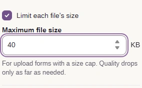 Turn on Limit each file's size and enter your upload cap in KB.