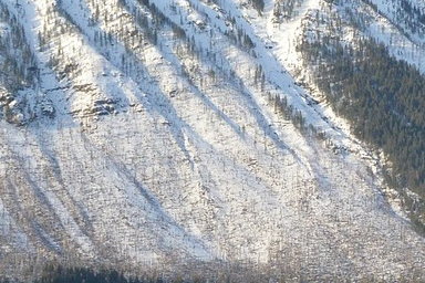 Trees and mountain texture in the original JPG.