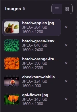 On a wide screen, Details view lists filenames and file details in the image explorer.