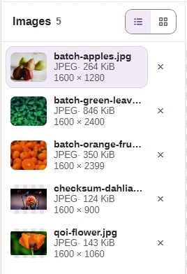 On a wide screen, Details view lists filenames and file details in the image explorer.