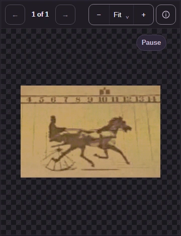 Use Play to watch the GIF, or Pause to hold a moment. Image info opens the phone’s file details.