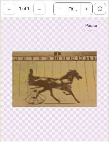 Use Play to watch the GIF, or Pause to hold a moment. Image info opens the phone’s file details.