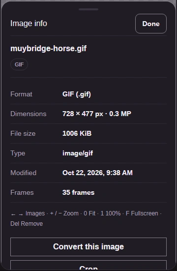 On a phone, Image info shows the file properties. Done closes the sheet.