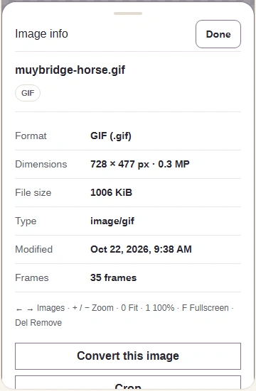On a phone, Image info shows the file properties. Done closes the sheet.