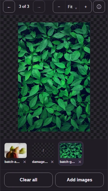After Next image, the following photo appears and its thumbnail is highlighted.