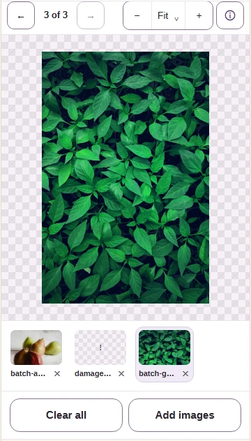 After Next image, the following photo appears and its thumbnail is highlighted.