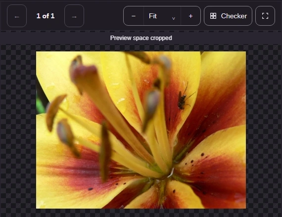 Fit shows the whole picture within the preview.