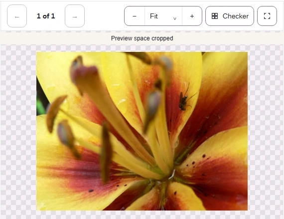 Fit shows the whole picture within the preview.