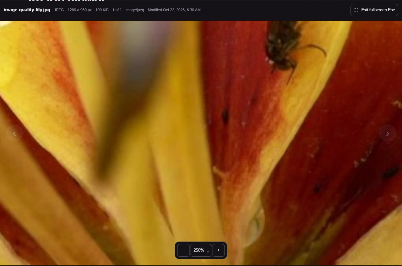 Fullscreen gives the picture the available screen. Exit fullscreen returns to the workspace.