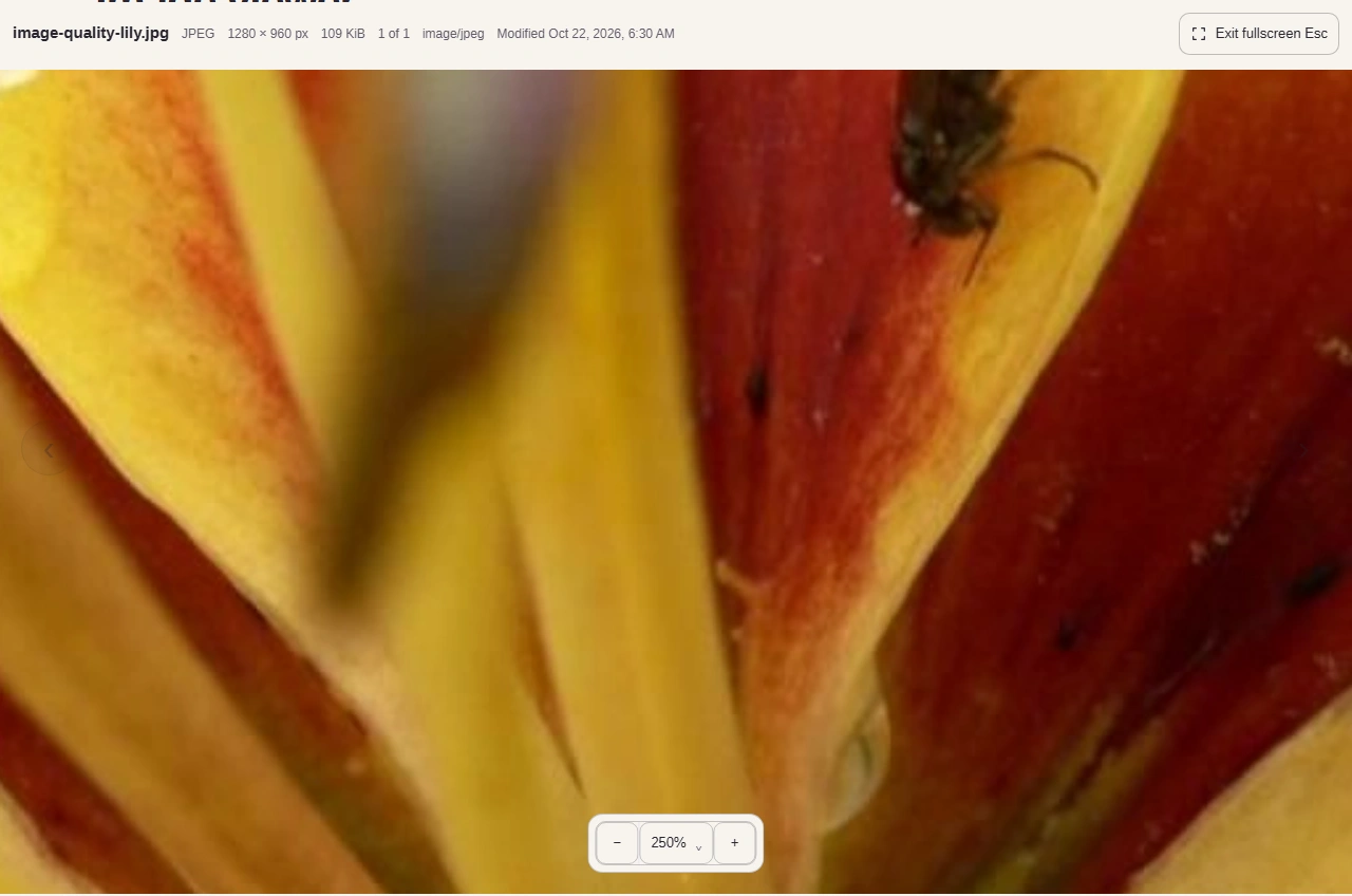 Fullscreen gives the picture the available screen. Exit fullscreen returns to the workspace.