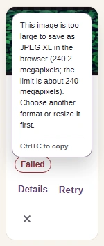 Real JPEG XL refusal with Details open, showing the image pixel count and the device limit.