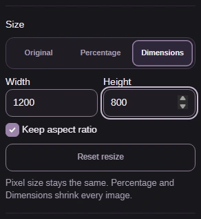 Size set to Dimensions, Width 1200, Height 800, and Keep aspect ratio checked.