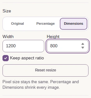 Size set to Dimensions, Width 1200, Height 800, and Keep aspect ratio checked.