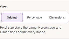 Size choices Original, Percentage, and Dimensions.