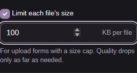 Enabled Limit each file’s size with 100 KB per file.