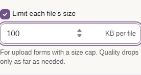 Enabled Limit each file’s size with 100 KB per file.