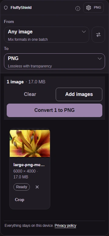 PNG Converter with a 6000 by 4000 flower PNG loaded, its dimensions and PNG settings button visible.