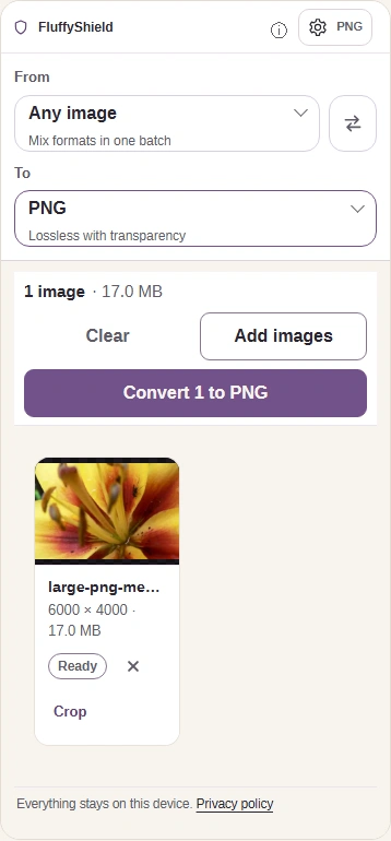 PNG settings closed with Convert 1 to PNG ready.